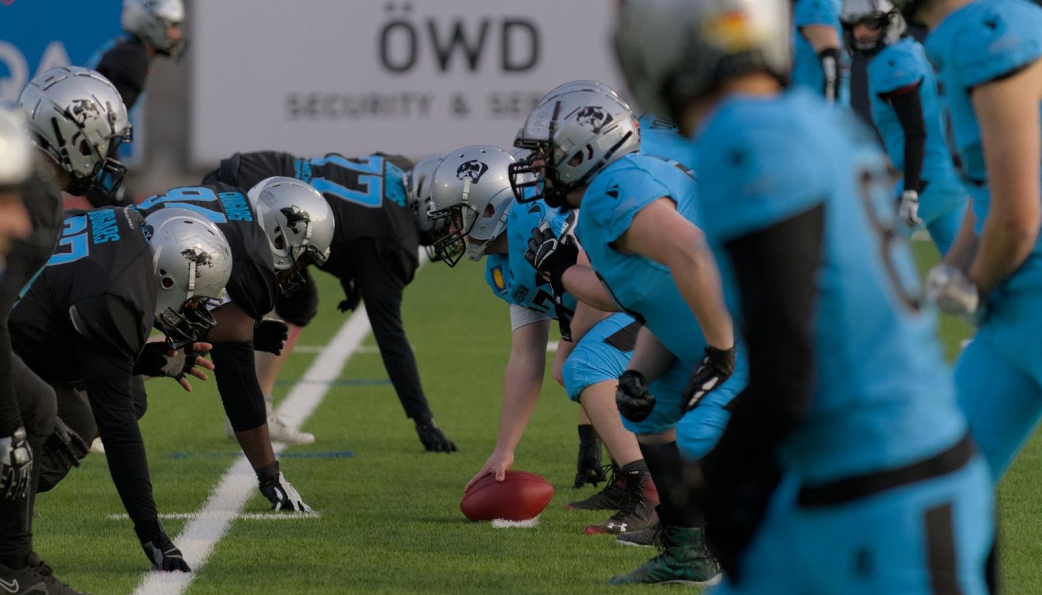 Cougars Video auf Instagram